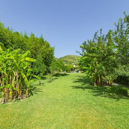 Villa Martin / Son Siurana